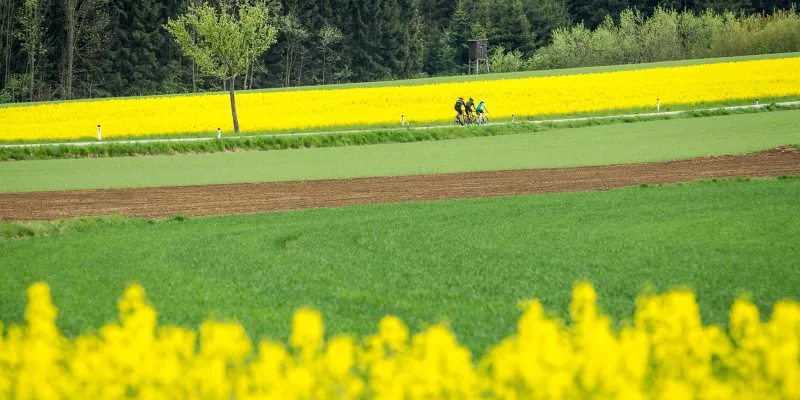 Anyroad-Region Kamptal