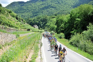 67. Österreich Rundfahrt 