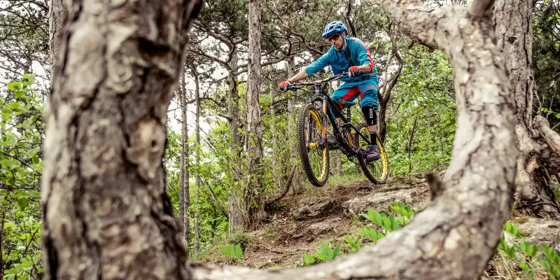 Canyon Strive CF 9.0 Team