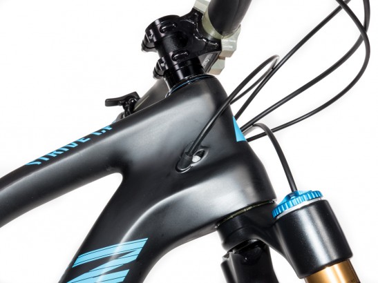 Canyon Strive CF 9.0 Team