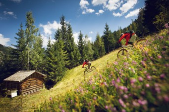 Großarltal: Im Tal der Almen