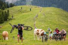 Bildbericht KitzAlpbike Marathon