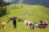 Bildbericht KitzAlpbike Marathon