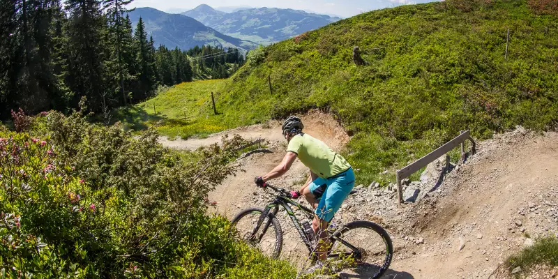 Bike-Neuheiten von Canyon, Giant, Merida, Radon, Marin und Liv
