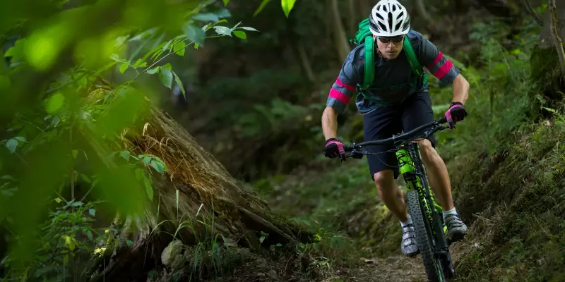 Cannondale Habit 2016