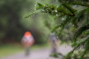 Mountainbiken in und um Innsbruck