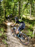 Trek Procaliber, Top Fuel und Madone