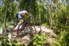 Trek Procaliber, Top Fuel und Madone