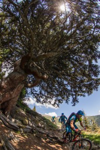 Tour zur Friedrichshafener Hütte