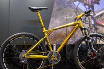 GT Golden Zaskar 2010 