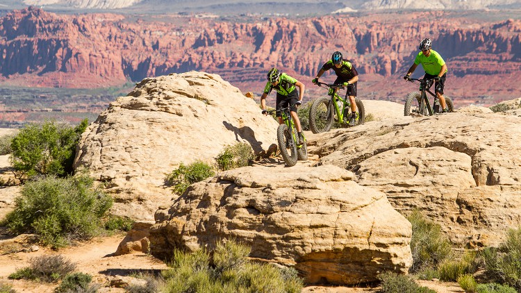 Cannondale
