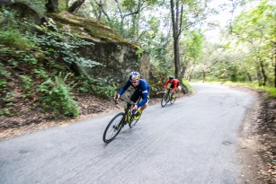 Cannondale