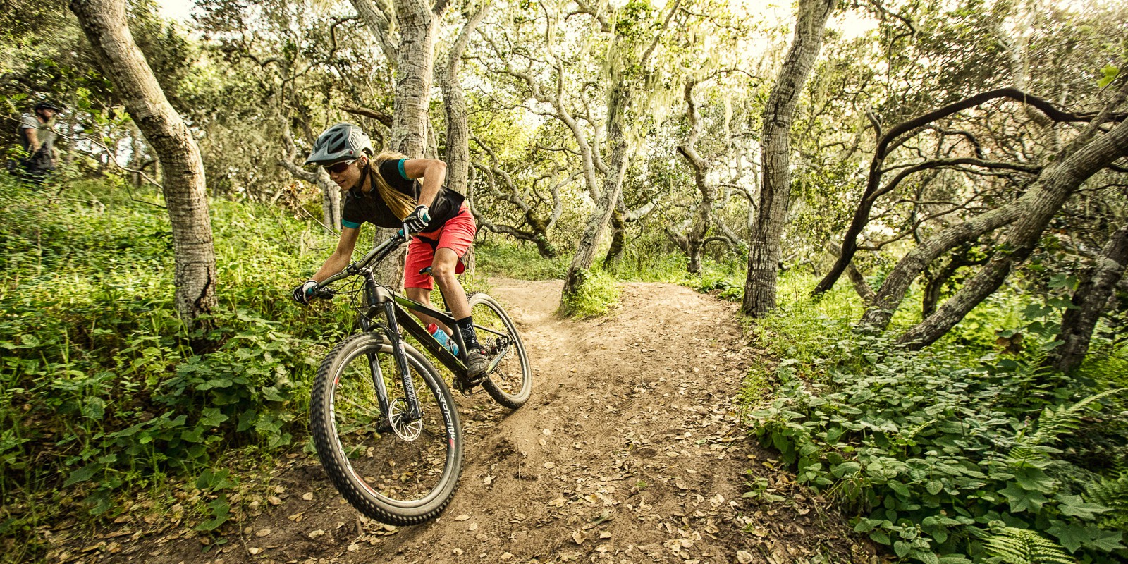 GT Bicyles