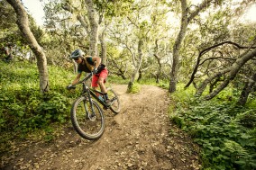 GT Bicyles