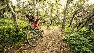 GT Bicyles