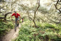 GT Bicyles