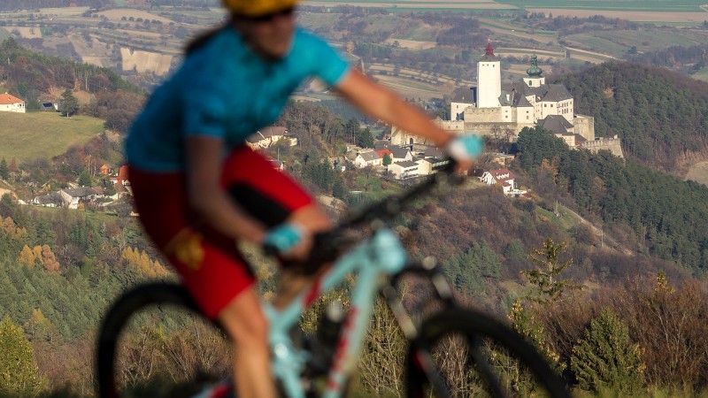 Trek Top Fuel 9.8 SL