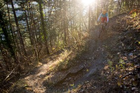 Trek Top Fuel 9.8 SL