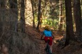 Trek Top Fuel 9.8 SL