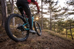 Cannondale Bad Habit 1