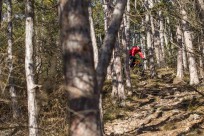 Ritchey Timberwolf