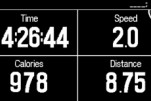Garmin Varia Vision