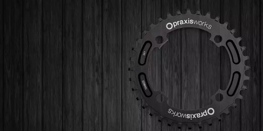 Praxis Works 1X Kettenblätter