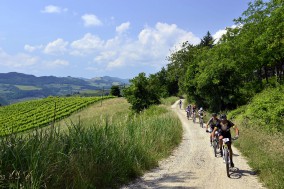 Preview: Rally di Romagna 2016
