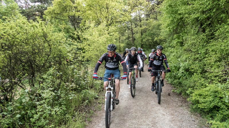Bildbericht Bikeboard Day 2016