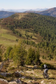 Lindenhof- Nockberge-Specials