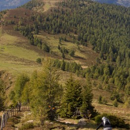 Lindenhof- Nockberge-Specials