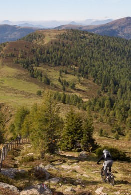 Lindenhof- Nockberge-Specials