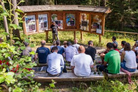 Kitzbüheler Alpen: MTB total