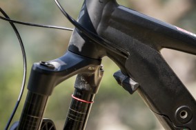 Ein Framebumper schützt vor Kontakt mit der Gabelkrone.
