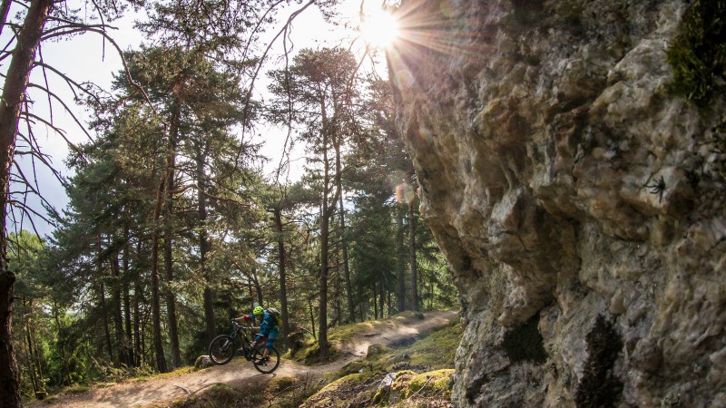 Specialized Stumpjumper FSR Expert