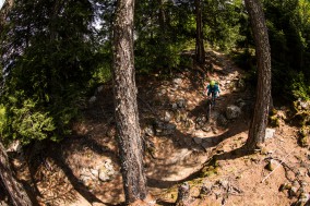 Specialized Stumpjumper FSR Expert