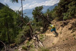 Specialized Stumpjumper FSR Expert