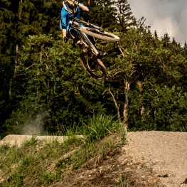 Sram X01 DH