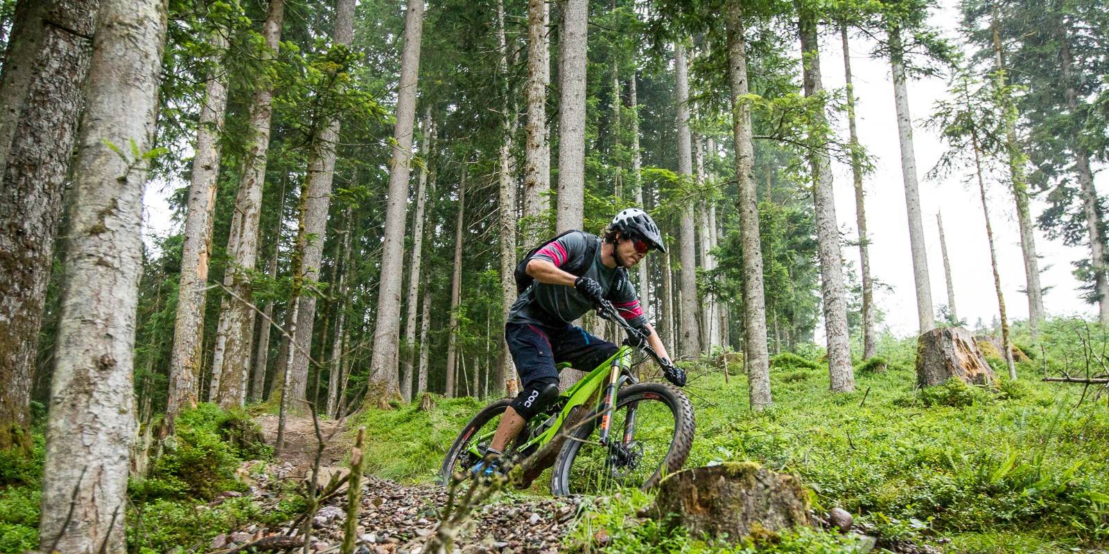 Cannondale Moterra & Moterra LT 2017
