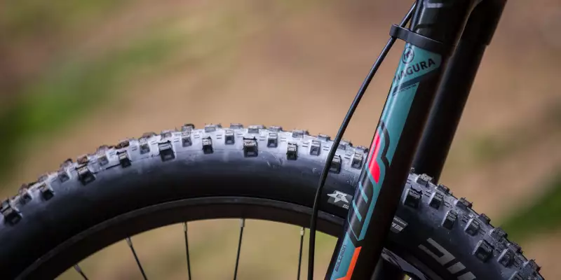 Magura Boltron 2017