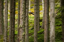 Bike Trails in Sölden Part II