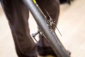 Mavic Neuheiten 2017