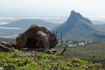 Mountainbike Rennrad Touren - die schönsten Radtouren und Regionen in Österreich - Radurlaub Urlaubsregionen Österreich