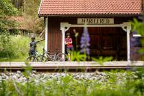 Mountainbike Rennrad Touren - die schönsten Radtouren und Regionen in Österreich - Radurlaub Urlaubsregionen Österreich