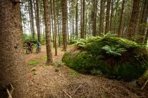 Mountainbike Rennrad Touren - die schönsten Radtouren und Regionen in Österreich - Radurlaub Urlaubsregionen Österreich
