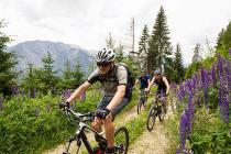 Mountainbike Rennrad Touren - die schönsten Radtouren und Regionen in Österreich - Radurlaub Urlaubsregionen Österreich