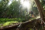 Mountainbike Rennrad Touren - die schönsten Radtouren und Regionen in Österreich - Radurlaub Urlaubsregionen Österreich
