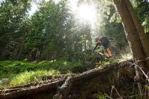 Mountainbike Rennrad Touren - die schönsten Radtouren und Regionen in Österreich - Radurlaub Urlaubsregionen Österreich