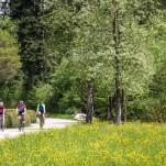 Mountainbike Rennrad Touren - die schönsten Radtouren und Regionen in Österreich - Radurlaub Urlaubsregionen Österreich