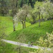 Mountainbike Rennrad Touren - die schönsten Radtouren und Regionen in Österreich - Radurlaub Urlaubsregionen Österreich